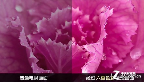 ͽ һ46ȫ轵350Ԫ 