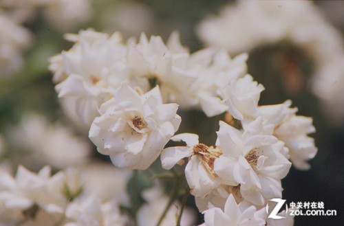 ʵ������ �о�FileScan320ɨ�������� 