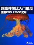 超高性价比入门单反 佳能EOS 1200D试用