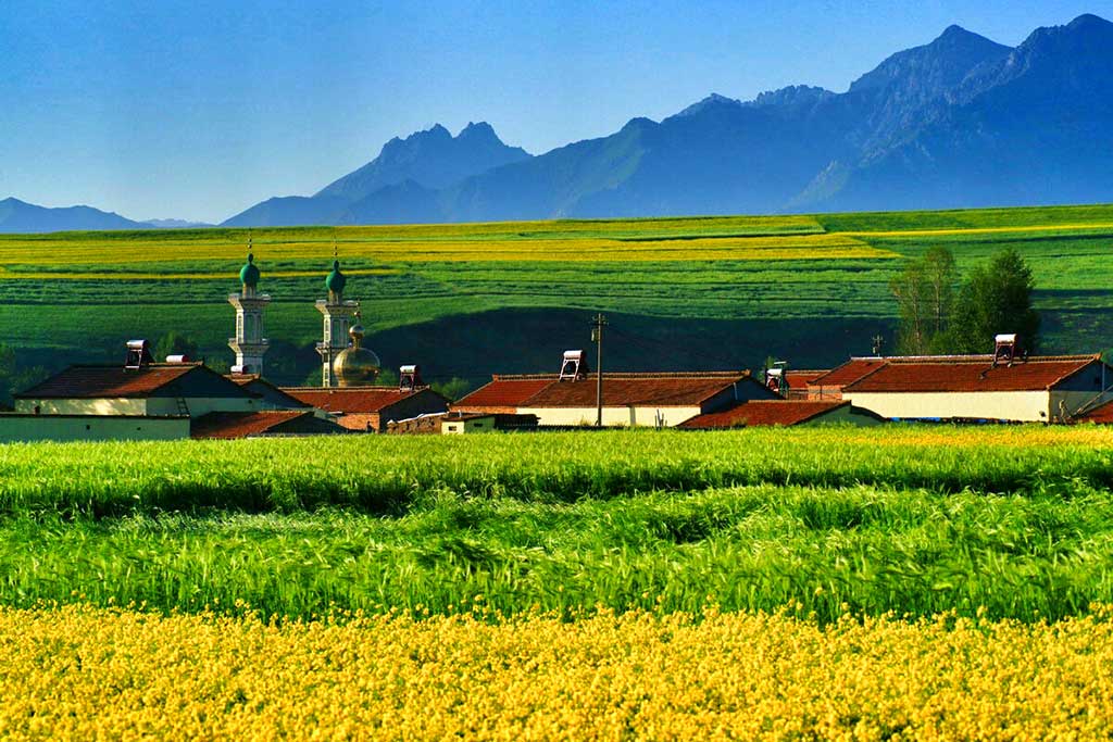 【高清图】带你看看我眼中的世界 七月环游青海湖图2-zol中关村在线