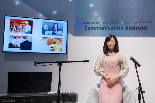 �������� ��֥�з��߷������ܻ�����