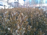 С��M2��Mi2/16GB��������4