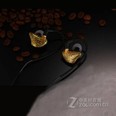 潮范时尚Hifi监听级发烧入耳挂式耳机 土豪金咖啡色