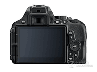 Nikon/尼康D5600 单机 2416万有效像素 不含镜头 入门 天猫3390元