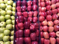 ��������E2��3GB RAM/ȫ��ͨ��������4