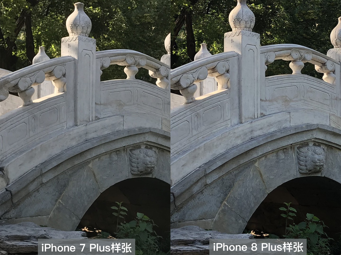 苹果iphone8|plus评测 拍照才是真亮点