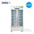 星星(XINGX) 风冷无霜 温湿双显 冷藏展示柜 药品柜 医药柜 三款可选 610升 YC-610WDF