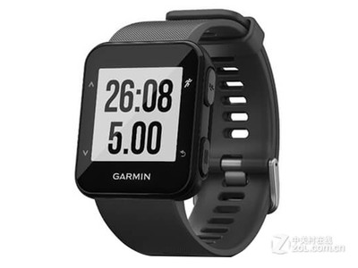  Forerunner 30