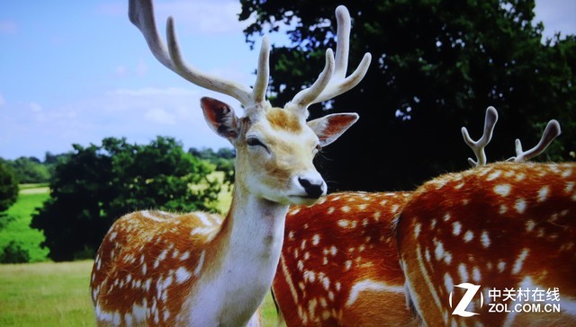 _(d)T2ͶӰC(j)u(png)y(c) 