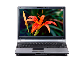 廪ͬ X310A-11