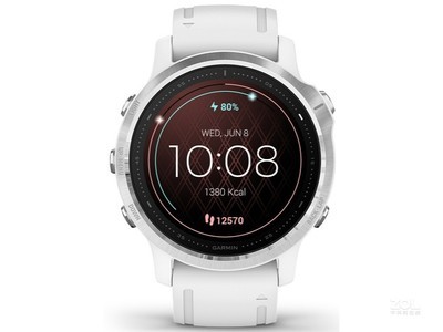  Fenix6Sͨ