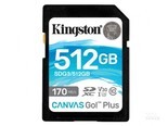 金士顿SDG3/512GB