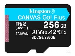 ʿSDCG3/256GB