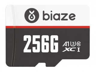 TF洢256GB
