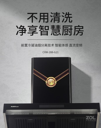 瑞贝格尔cxw-288-g21