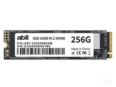 A300 M2 NVME256GB