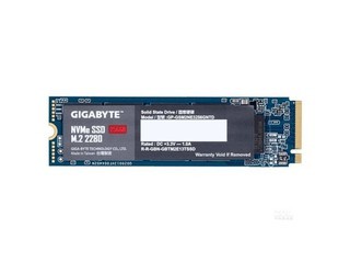 GP-GSM2NE3256GNTD256GB