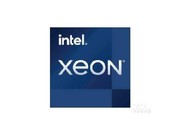 Intel Xeon W-1390T