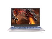 е 760-P(R7 4800H/16GB/512GB/RTX2060)