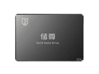 CS101 SATA3256GB