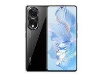 荣耀80 Pro 直屏版（12GB/256GB）