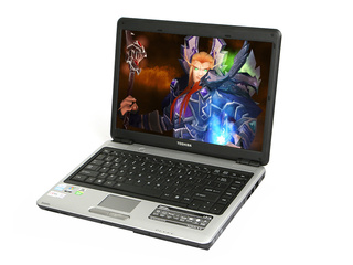֥L315