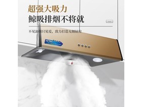 weili(威力)wl05 中式吸油烟机x-05(送上门安装)图片