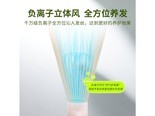直白HL1