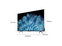 创维55A4D Pro
