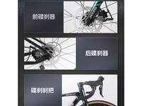 喜德盛AD300 翠绿/玫瑰金480mm