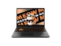 七彩虹MEOW R16(R7 8845HS/16GB/512GB/RTX4060)