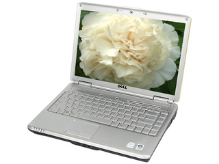 Inspiron 1420(R510503)