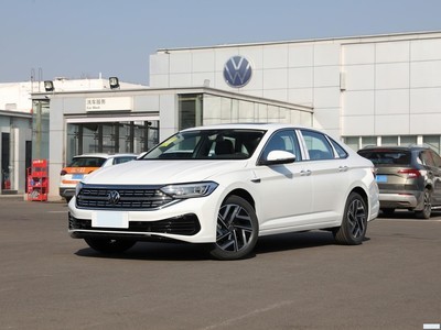   2023 300TSI DSGԽ