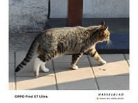 OPPO Find X7 Ultra(12GB/256GB)������2