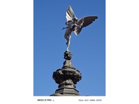 ����21 Pro(12GB+256GB)������7