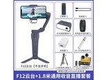 云腾+F12 F12+通用*双人麦+1.8米支架
