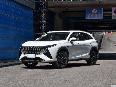  2024 Cϵ 2.0T ǿհ 7
