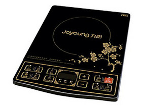 JYC-21DS29