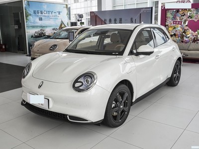ŷè 2024 401km 