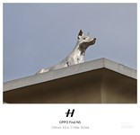 OPPO Find N5(12GB/256GB)������2