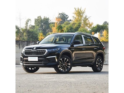 ˹´ µǿ 2024 TSI330 7