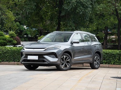 ǵ ProԴ 2025 DM-i 115KMԽ