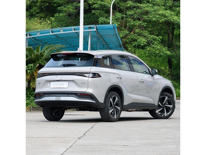 ���ǵ� ��ʨ05 2025�� DM-i 115KM�콢��