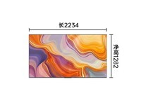 飞利浦100MLED890/T3