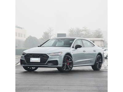 µA7L 2024 55 TFSI quattro 콢
