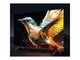´LED-4KHD 55Ӣ/