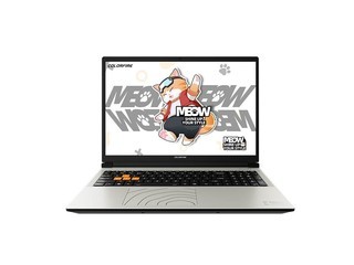 ߲ʺMEOW R16 Pro(R9-7845HX/16GB/1TB/RTX5060)