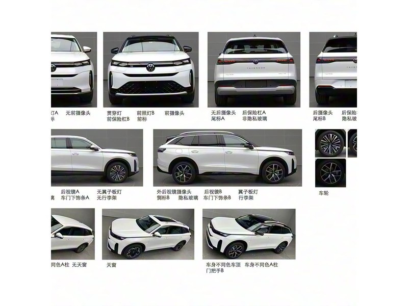 ���� ��Ѳ 2026�� 380TSI ����R-LineѲ�� ������