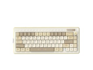 reccazr ֽɻ66 ̱ ɫ/ͻ