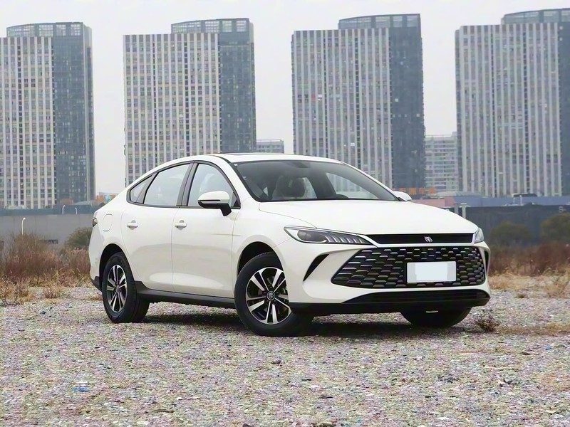 ���ǵ� ��PLUS 2026�� DM-i 210KM��ȡ��